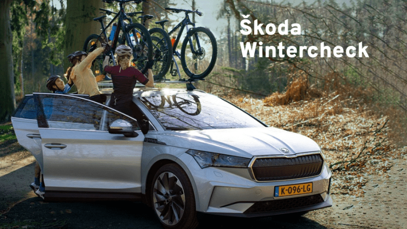 Skoda wintercheck